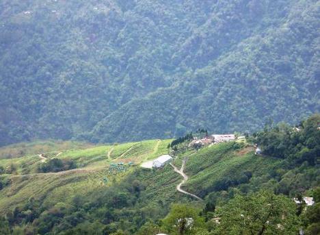 Central Nirvana Darjeeling  Exterior foto